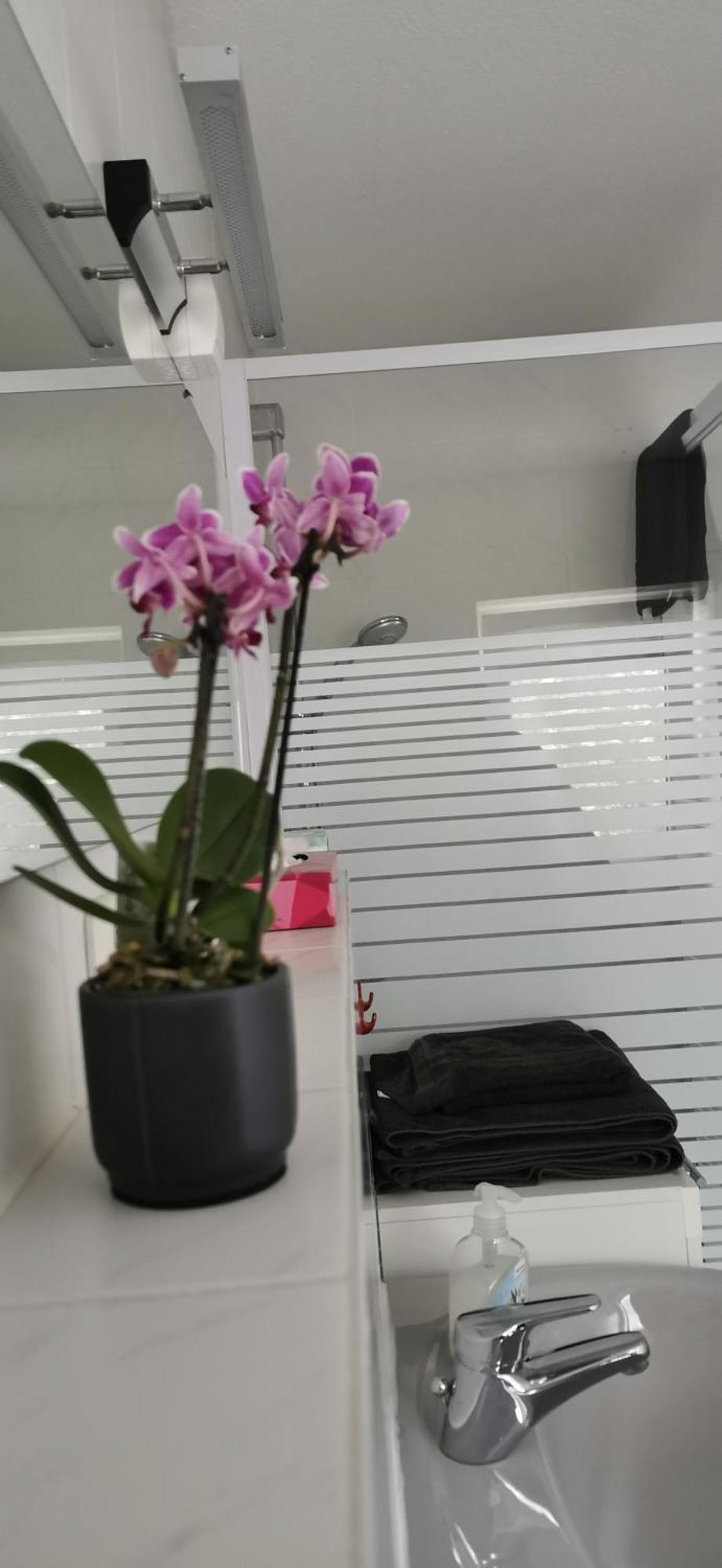 Apartamento Ruhige Sout. Whg. Feldrandnaehe Seligenstadt Exterior foto